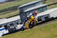 PJ-Motorsport-2019;anglesey-no-limits-trackday;anglesey-photographs;anglesey-trackday-photographs;enduro-digital-images;event-digital-images;eventdigitalimages;no-limits-trackdays;peter-wileman-photography;racing-digital-images;trac-mon;trackday-digital-images;trackday-photos;ty-croes